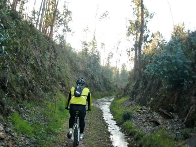 photo CIMG0357_zpsd636b60d.jpg