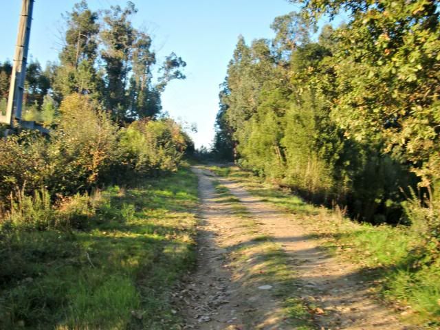 photo CIMG0358_zps1be9622e.jpg