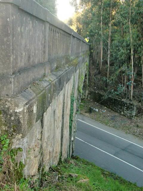 photo CIMG0362_zpsa65ac41e.jpg