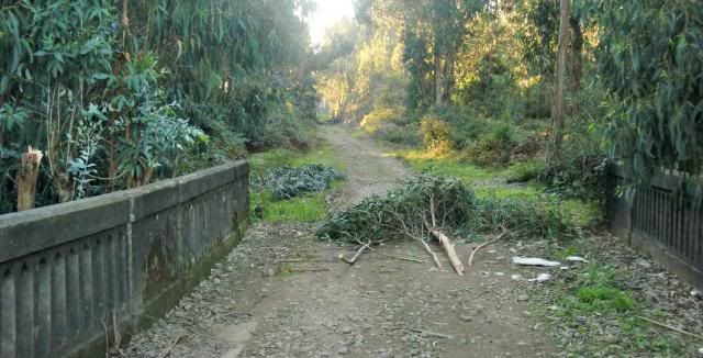 photo CIMG0369_zpsb49b36f8.jpg