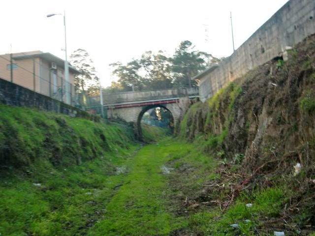 photo CIMG0371_zps7aa75fc8.jpg