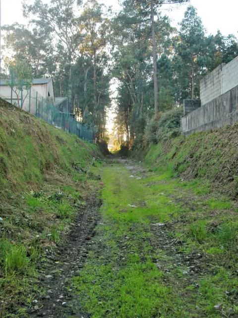 photo CIMG0374_zps07edea6d.jpg