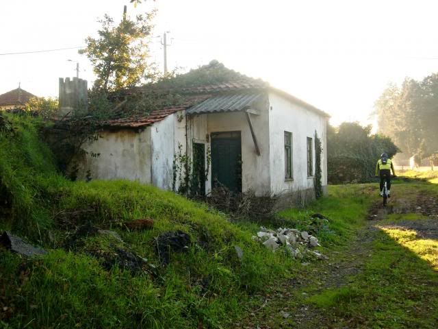 photo CIMG0376_zps6e53c53b.jpg