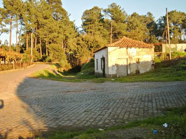 photo CIMG0377_zpsf7bb9f0c.jpg