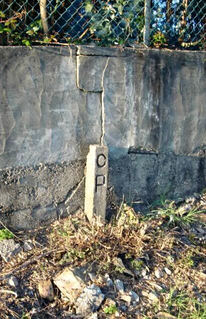 photo CIMG0378_zps0c3be047.jpg