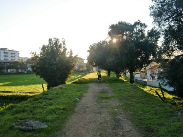 photo CIMG0379_zps8e2295d1.jpg