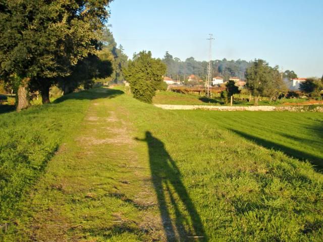 photo CIMG0381_zps07e83ef0.jpg