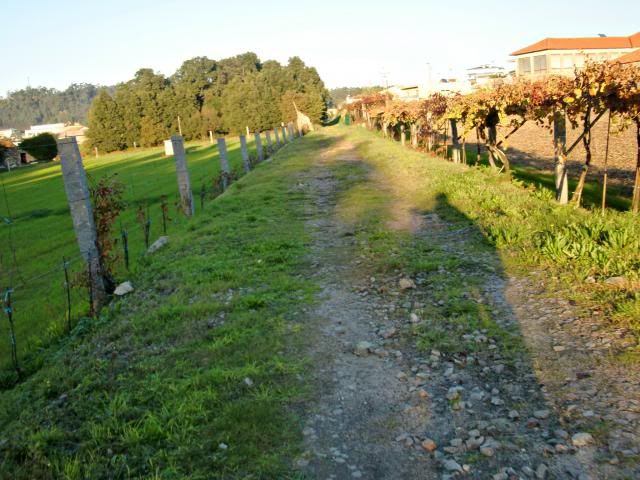 photo CIMG0386_zps2d428f02.jpg