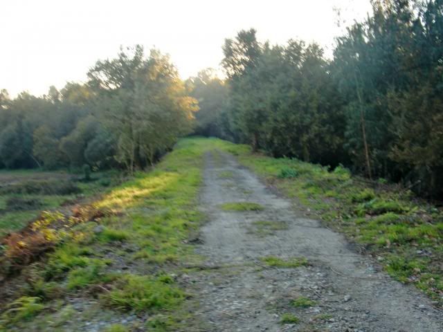 photo CIMG0387_zps5d0848e0.jpg