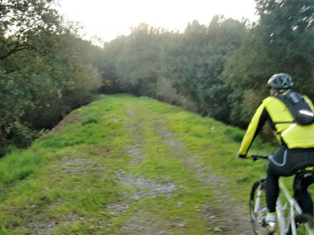 photo CIMG0388_zps6f1370bc.jpg