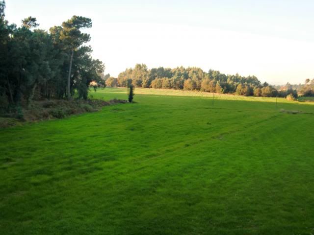 photo CIMG0389_zpsa0d78dff.jpg