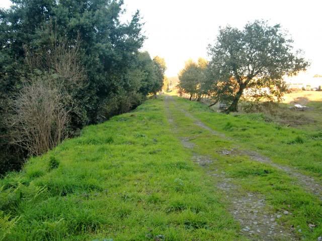 photo CIMG0390_zpsc4edd880.jpg