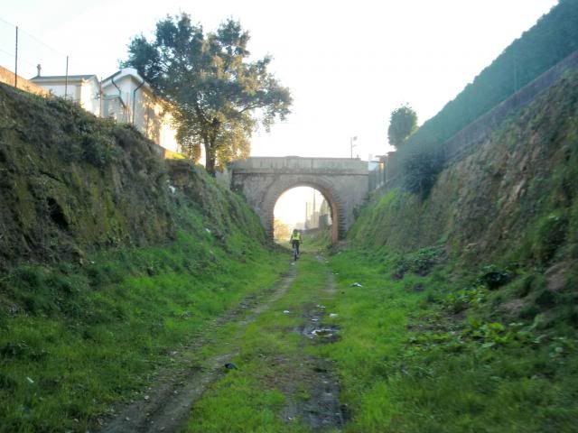 photo CIMG0391_zpsdafd013b.jpg