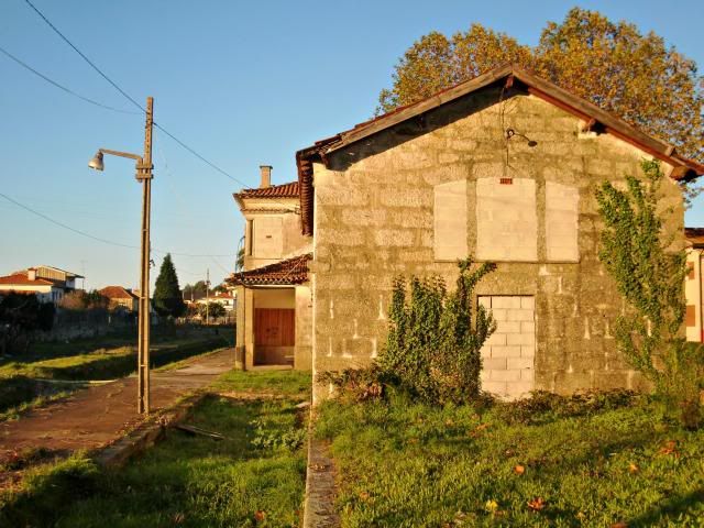 photo CIMG0399_zps7d38eef0.jpg