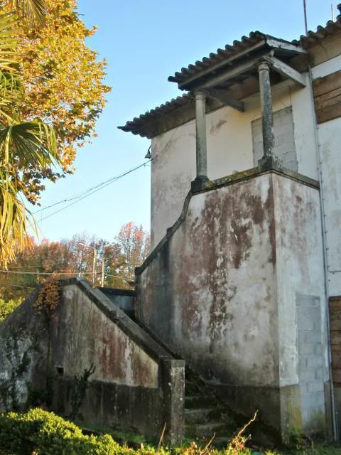 photo CIMG0402_zpsc5341697.jpg