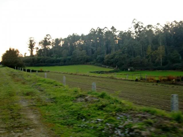 photo CIMG0407_zps2f698afe.jpg