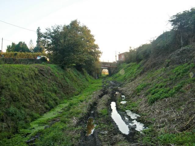 photo CIMG0410_zpsf7df3718.jpg