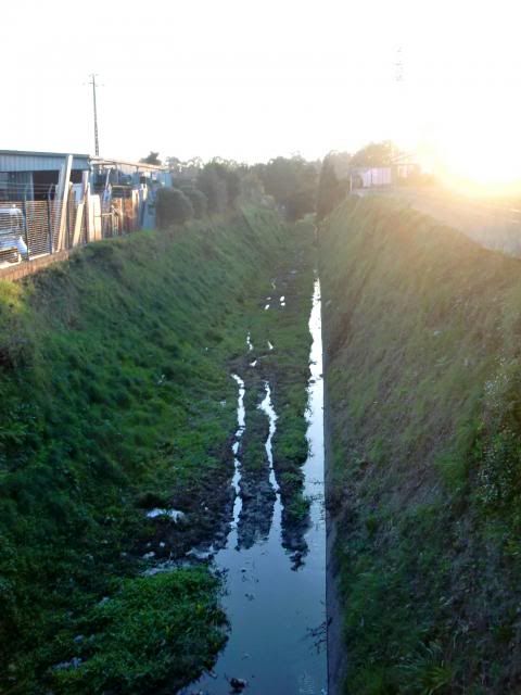 photo CIMG0411_zpsae147e20.jpg