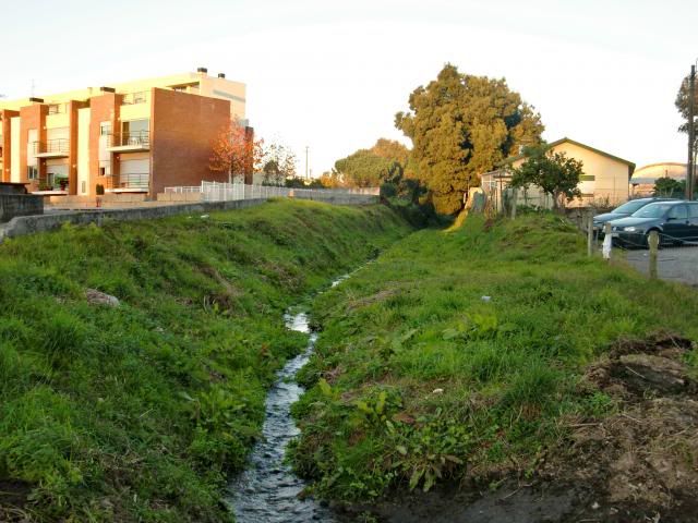 photo CIMG0413_zpsd1f79f7a.jpg