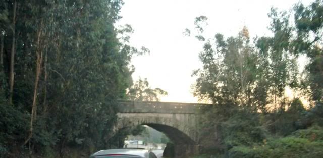 photo CIMG0416_zpsa801a36f.jpg