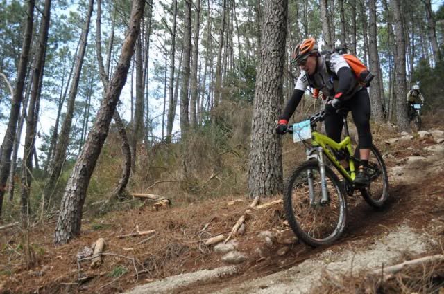  photo 56_zpse17d419e.jpg