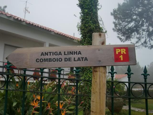 photo CIMG8199_zps36e0e7eb.jpg