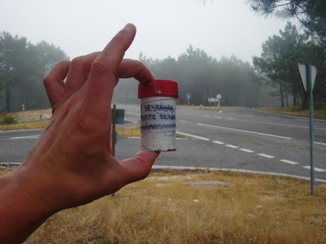 photo CIMG8204_zps40536b4c.jpg