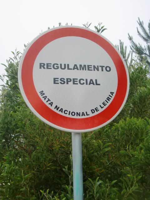 photo CIMG8218_zps02479d7f.jpg