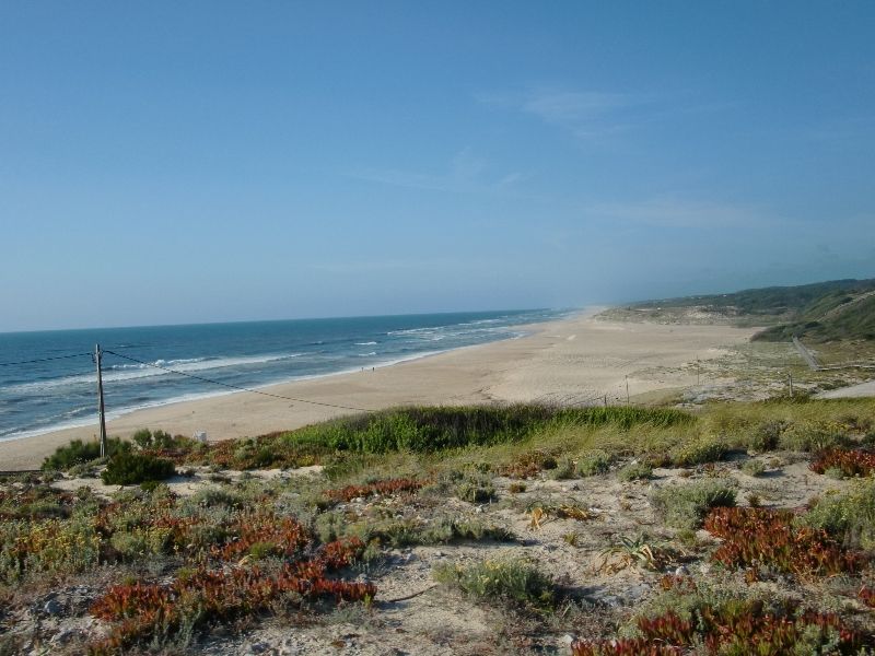 photo CIMG8113_zpse835801b.jpg