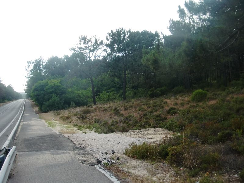 photo CIMG8146_zps3d8c93b0.jpg