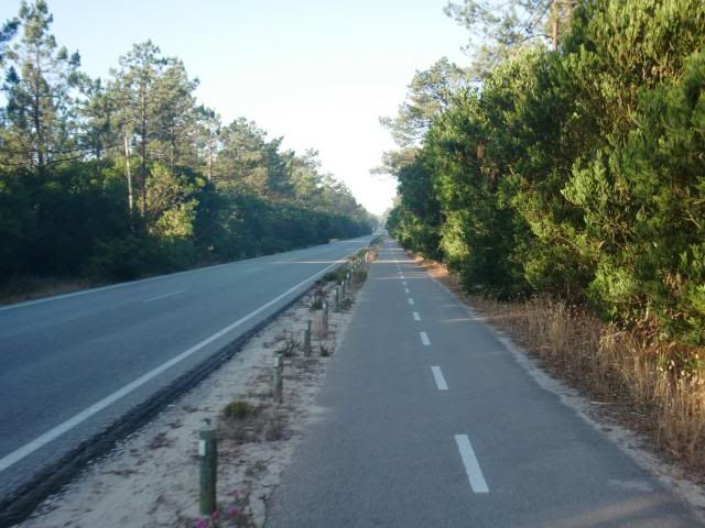  photo CIMG8473_zps3d1e3eef.jpg