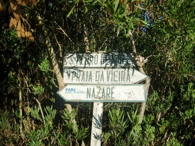  photo CIMG8476_zpscd6bb6e4.jpg