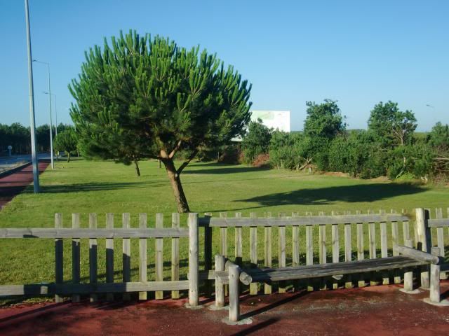  photo CIMG8480_zps2da8dac3.jpg