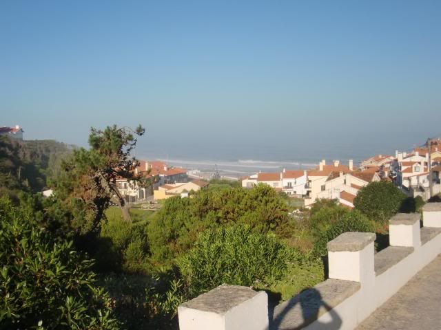  photo CIMG8482_zpsdb9cce0e.jpg