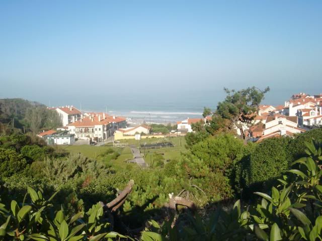  photo CIMG8484_zps1a8b0cd1.jpg