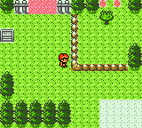 Route201Lakefront.gif