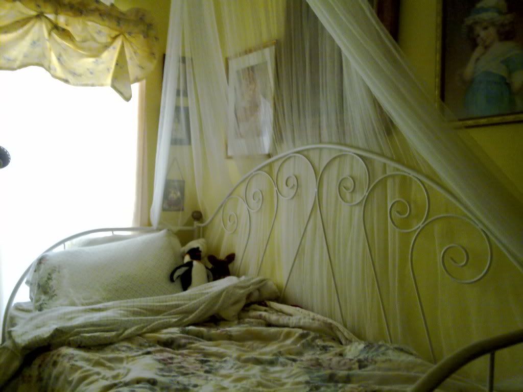 http://i467.photobucket.com/albums/rr39/kanakanaria/270420116512.jpg