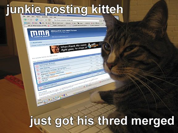 lolCATjunkieMERGE.jpg