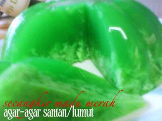aku dan duniaku: agar2 lumut/santan
